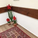 Das Filzmoos شقة فندقية 3*