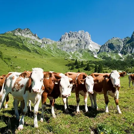 Das Filzmoos 아파트호텔 3*