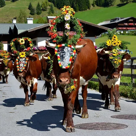 Apartmanhotel Das Filzmoos 3*