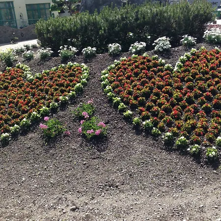 Das Filzmoos 3* 필즈모스