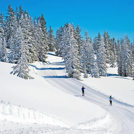 Das Filzmoos Filzmoos